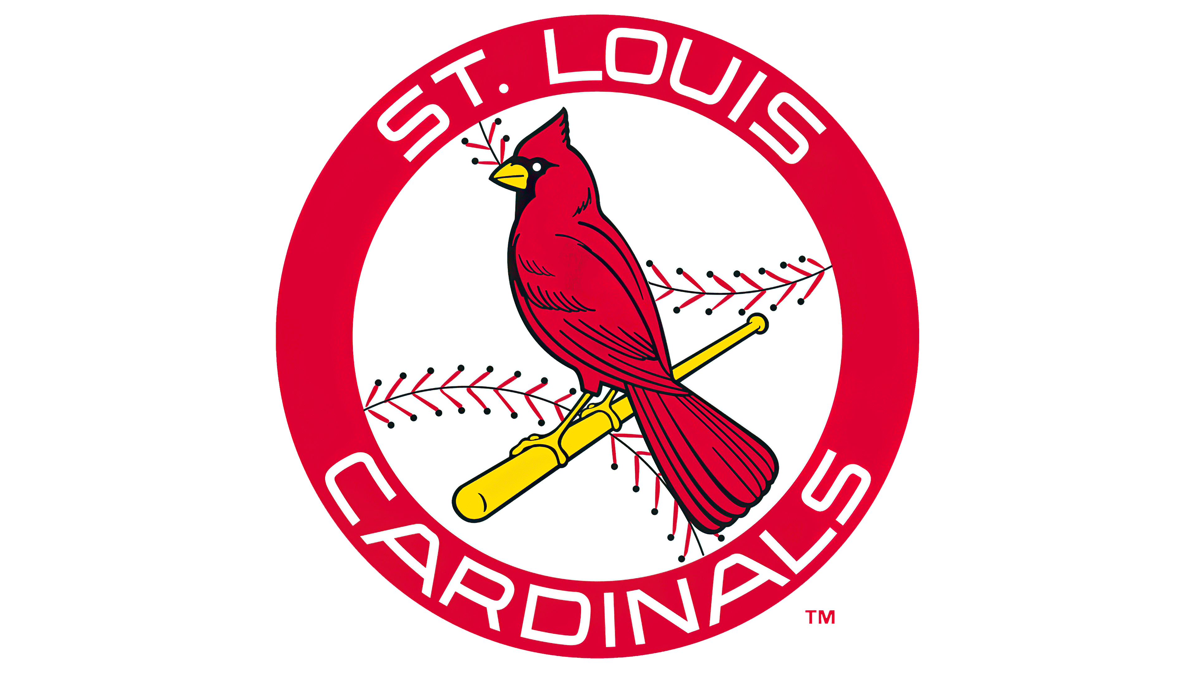 Saint Louis Cardinals, the (Team Spirit): Stewart, Mark: 9781599534947:  : Books