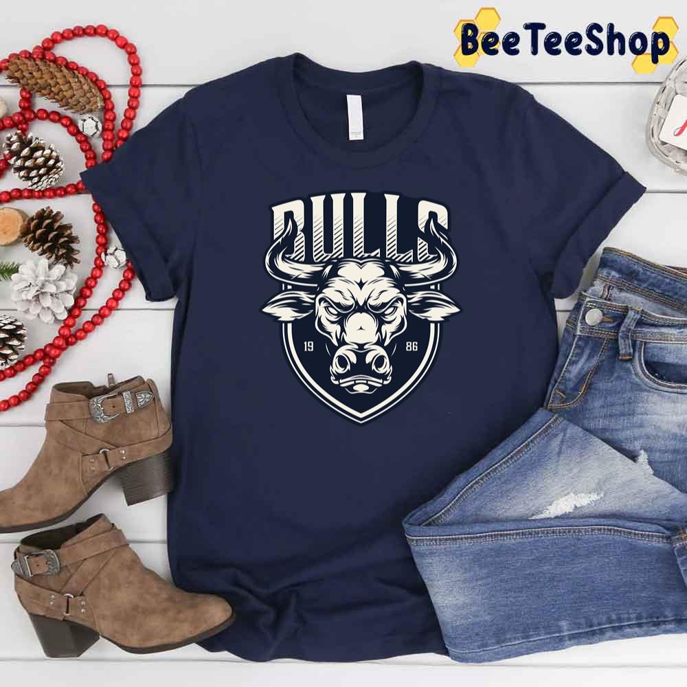 Art Bulls Chicago Bulls Basketball Unisex T-Shirt