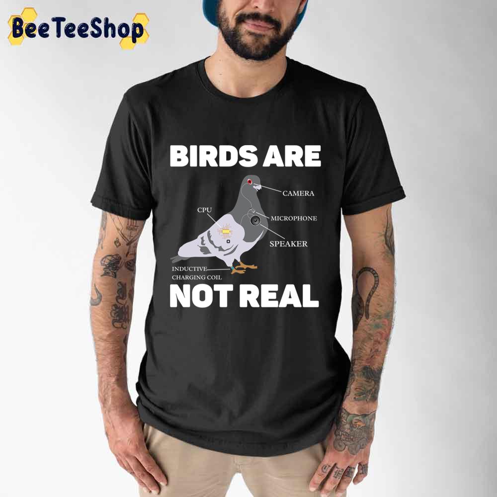 Conspiracy Theory Birds Aren’t Real Unisex T-Shirt