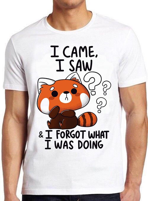 I Came I Saw I Forget What I Was Doing Unisex T-Shirt