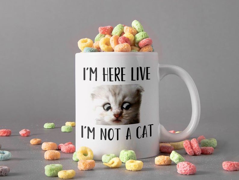 I’m Here Live I’m Not A Cat Mug Cute Cat Coffee Mug Cat Gang Mug Cat Lover Premium Sublime Ceramic Coffee Mug White