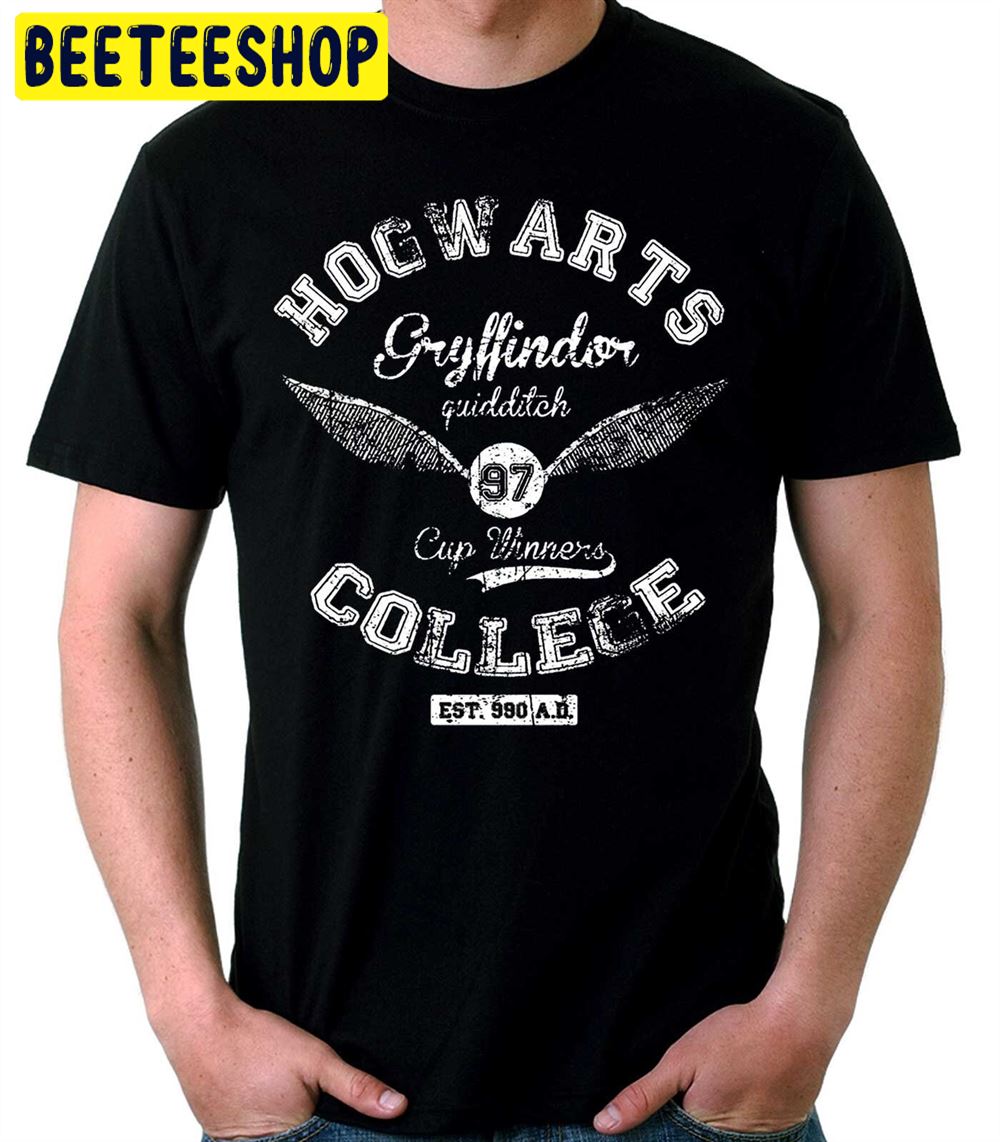 Hogwarts Team Pro Player Quidditch Unisex T-Shirt