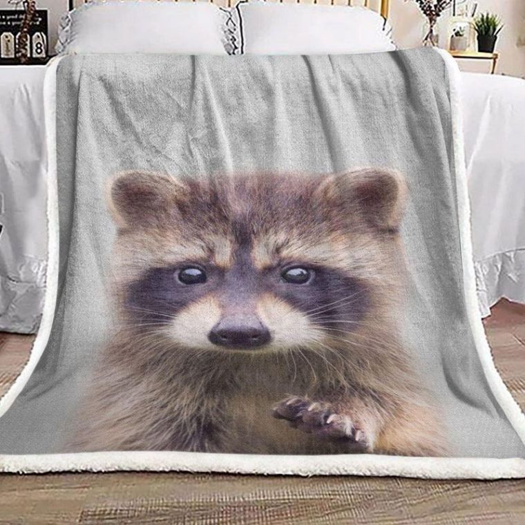 Raccoon Premium Comfy Sofa Throw Blanket