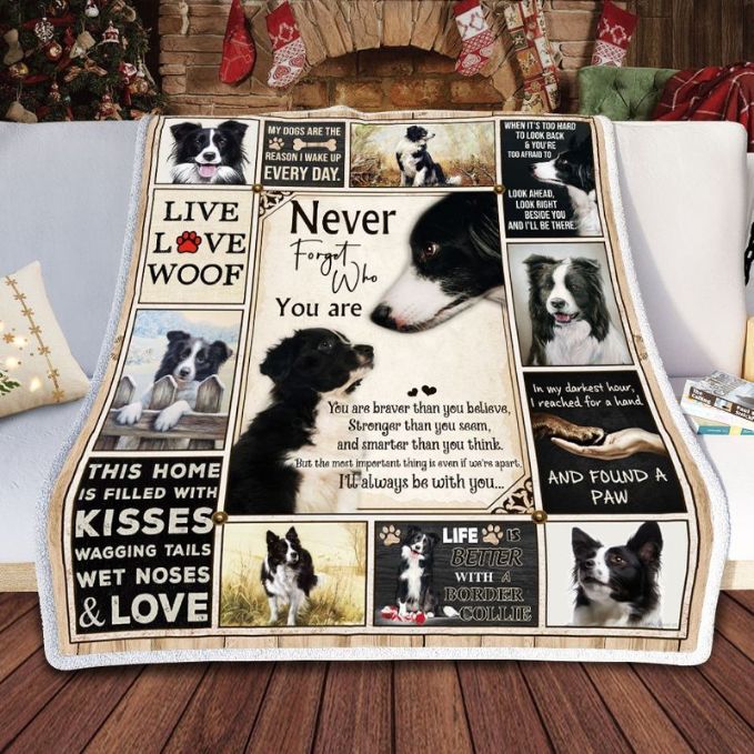 Border Collie Never Forget Who You Are Comfy Sofa Throw Blanket