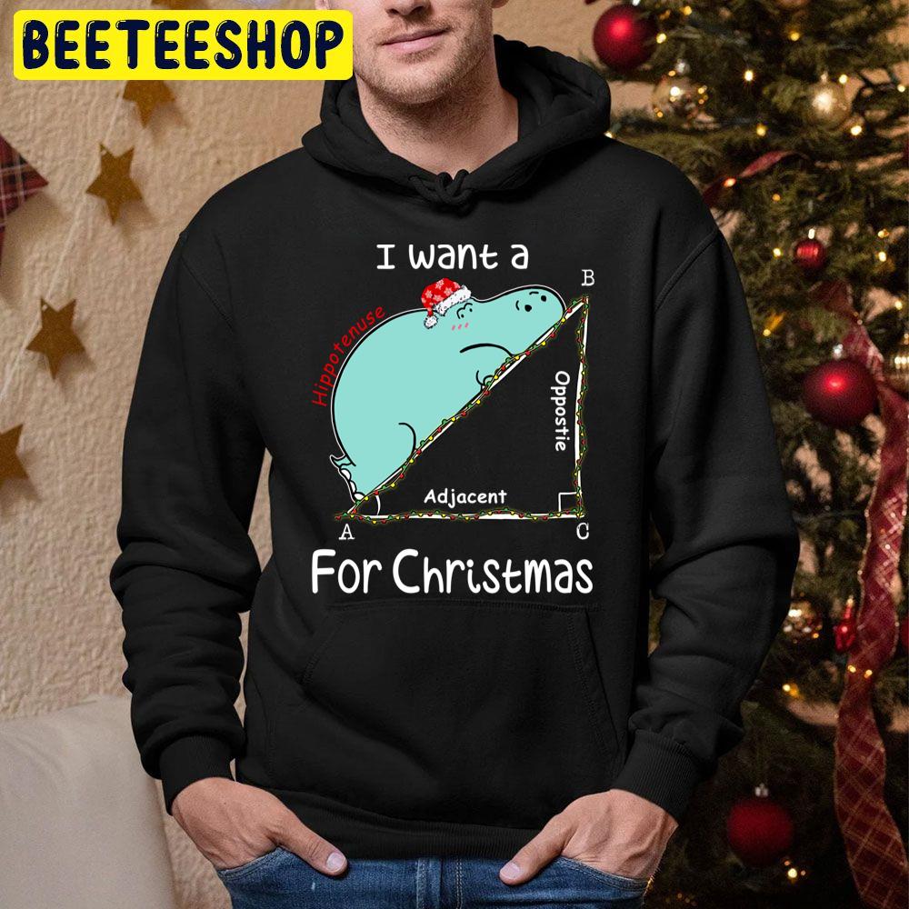 I Want A Hippopotenuse For Christmath Christmas Math Trending Unisex Hoodie