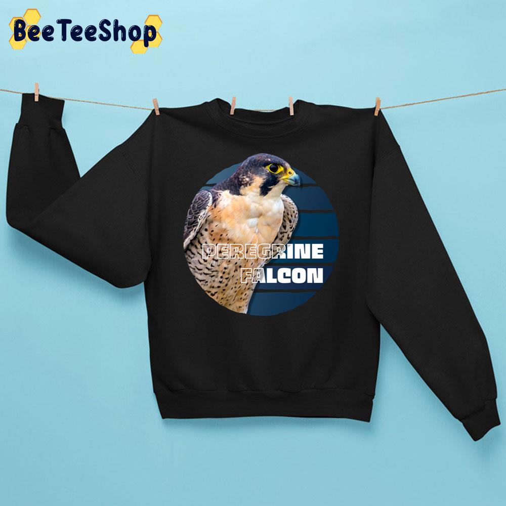 Vintage Peregrine Falcon Bird Trending Unisex Sweatshirt